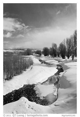 Stream and cottonwoods in winter. Grand Teton National Park, Wyoming, USA.