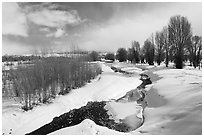 Snowscape with stream. Grand Teton National Park, Wyoming, USA. (black and white)