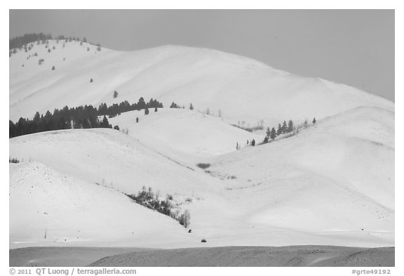 Snow-covered Blacktail Butte. Grand Teton National Park (black and white)