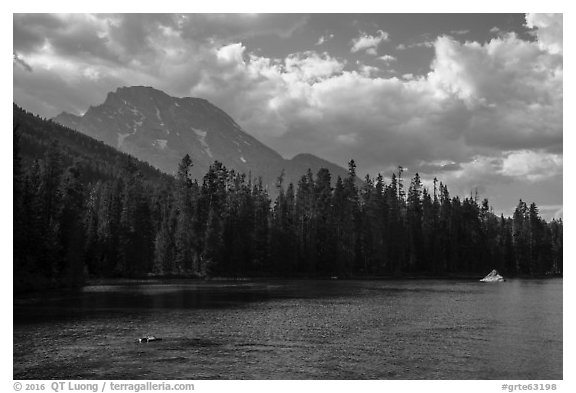 Mount Moran and String Lake, afternoon. Grand Teton National Park (black and white)