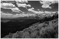 Jackson Hole plain and Tetons from Signal Mountain. Grand Teton National Park ( black and white)