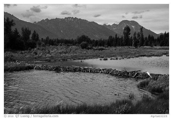 Beaver Dam and Teton Range. Grand Teton National Park (black and white)