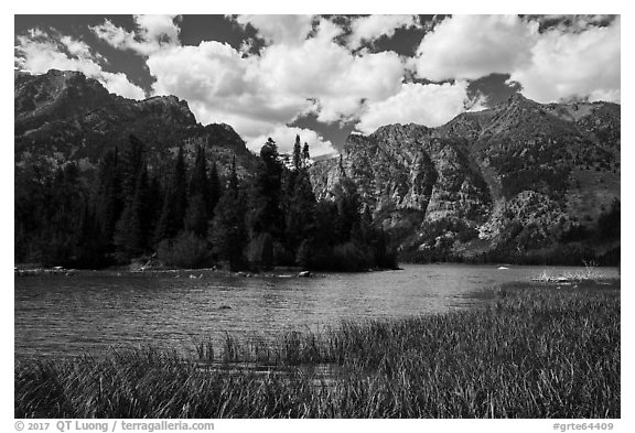 Grassy inlet, Phelps Lake. Grand Teton National Park (black and white)