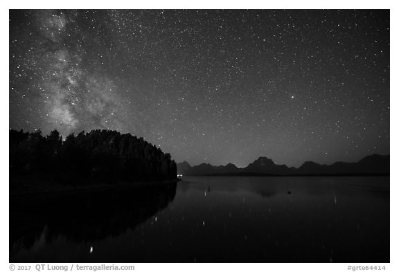 Trees, Milky Way and Teton Range above Jackson Lake. Grand Teton National Park (black and white)