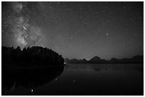 Trees, Milky Way and Teton Range above Jackson Lake. Grand Teton National Park ( black and white)