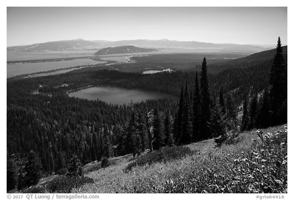 Bradley Lake and Taggart Lake from above. Grand Teton National Park (black and white)