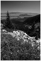 Wildflowers, view over Jackson Hole from Garnet Canyon. Grand Teton National Park ( black and white)