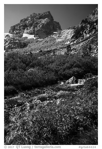 Stream and Middle Teton, Garnet Canyon. Grand Teton National Park (black and white)