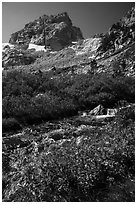 Stream and Middle Teton, Garnet Canyon. Grand Teton National Park ( black and white)