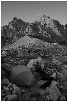 Camp at Lower Saddle and Grand Teton at sunset. Grand Teton National Park ( black and white)