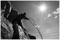 Climber throwing down ropes in preparation for rappel on Grand Teton. Grand Teton National Park ( black and white)