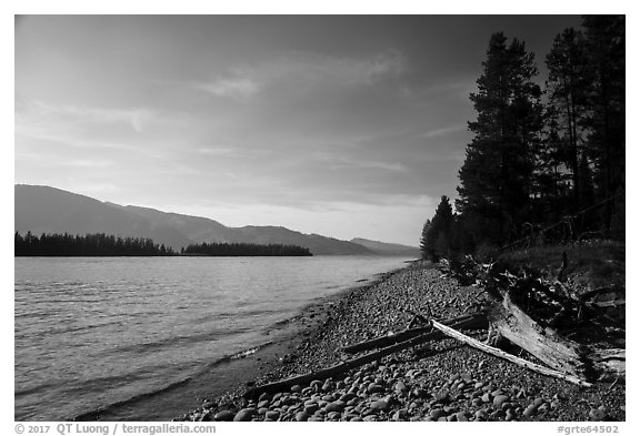 Beach, Colter Bay. Grand Teton National Park (black and white)