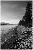 Driftwood on beach, Colter Bay. Grand Teton National Park ( black and white)