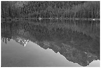 Tetons reflections in Leigh Lake, sunset. Grand Teton National Park ( black and white)