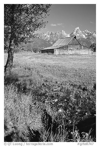 Pasture and historical barn at the base of mountain range. Grand Teton National Park (black and white)