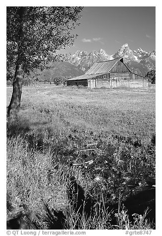 Pasture and historical barn at the base of mountain range. Grand Teton National Park, Wyoming, USA.