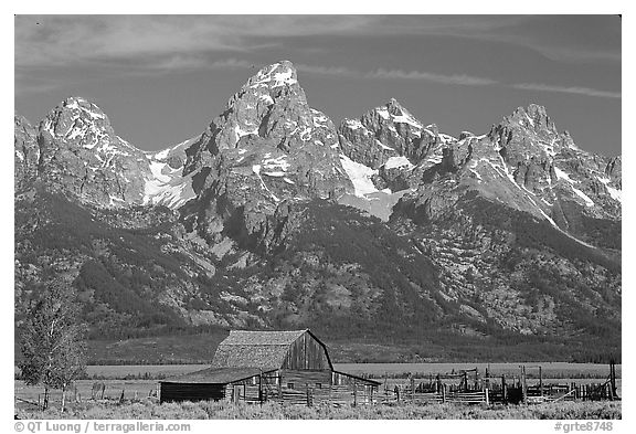 Moulton Barn and Grand Tetons, morning. Grand Teton National Park (black and white)