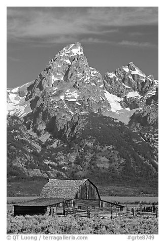 Historic Moulton Barn and Grand Tetons, morning. Grand Teton National Park, Wyoming, USA.