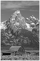 Historic Moulton Barn and Grand Tetons, morning. Grand Teton National Park, Wyoming, USA. (black and white)