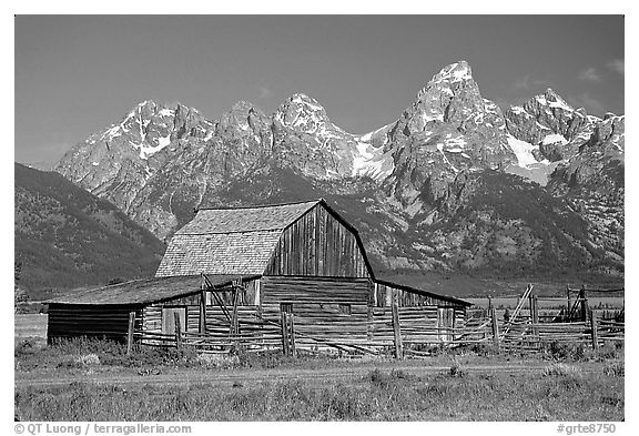 Historic Moulton Barn and Tetons mountain range, morning. Grand Teton National Park, Wyoming, USA.