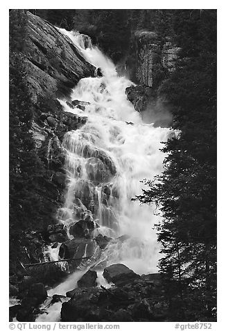 Hidden Falls. Grand Teton National Park (black and white)