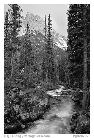 Cascade Creek and Tetons. Grand Teton National Park, Wyoming, USA.