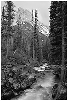 Cascade Creek and Tetons. Grand Teton National Park, Wyoming, USA. (black and white)
