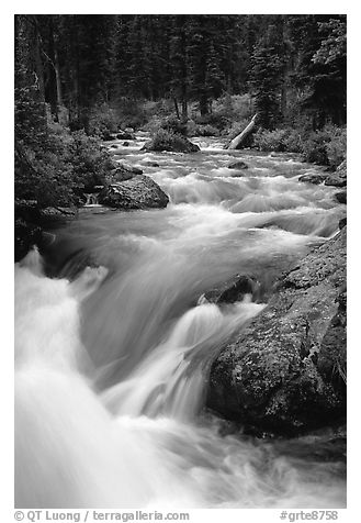 Cascade Creek flowing over rocks. Grand Teton National Park (black and white)