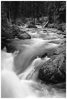 Cascade Creek flowing over rocks. Grand Teton National Park, Wyoming, USA. (black and white)