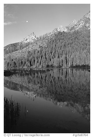 String Lake and Tetons, sunrise. Grand Teton National Park (black and white)