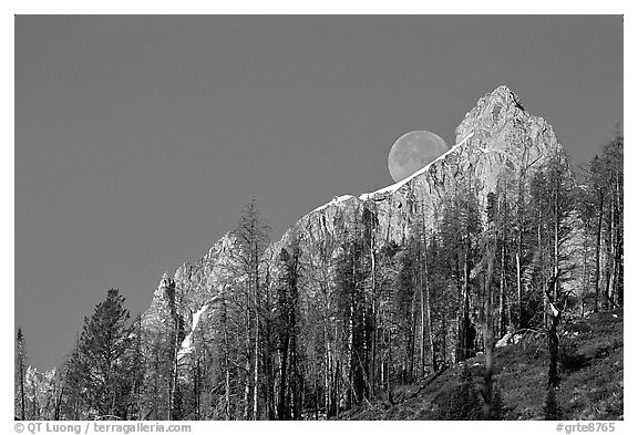Moon and Grand Teton. Grand Teton National Park, Wyoming, USA.