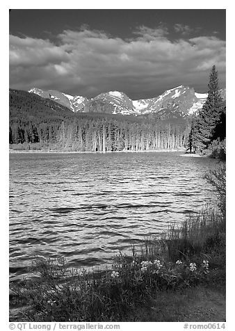 Windy morning, Sprague Lake. Rocky Mountain National Park, Colorado, USA.