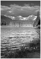 Windy morning, Sprague Lake. Rocky Mountain National Park ( black and white)