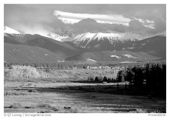 Fall color and mountain range. Colorado, USA