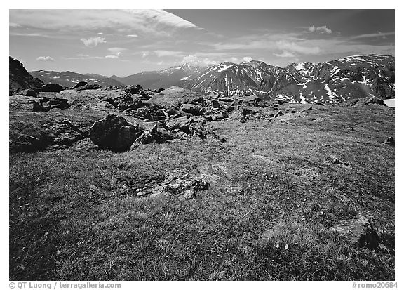 Alpine tundra near Trail Ridge Road in summer. Rocky Mountain National Park (black and white)