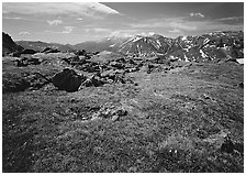 Alpine tundra near Trail Ridge Road in summer. Rocky Mountain National Park, Colorado, USA. (black and white)