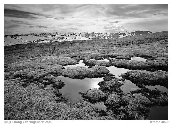 Alpine tundra and the Never Summer range. Rocky Mountain National Park (black and white)