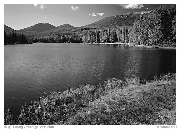 Sprague Lake, and forested peaks, morning. Rocky Mountain National Park (black and white)