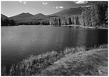 Sprague Lake, and forested peaks, morning. Rocky Mountain National Park ( black and white)