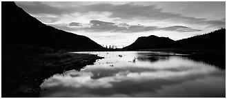 Cloud reflected in pond at sunrise. Rocky Mountain National Park (Panoramic black and white)