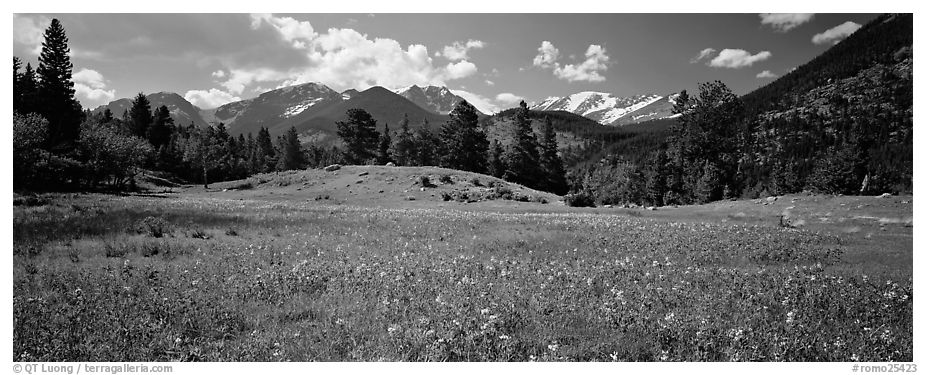 Summer mountain landscape. Rocky Mountain National Park (black and white)