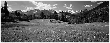 Summer mountain landscape. Rocky Mountain National Park (Panoramic black and white)