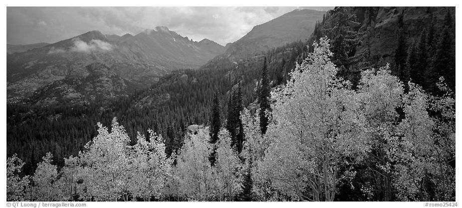 Autumn mountain landscape. Rocky Mountain National Park (black and white)