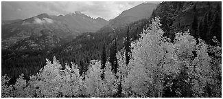 Autumn mountain landscape. Rocky Mountain National Park (Panoramic black and white)