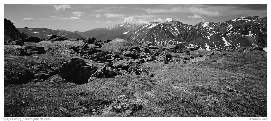 Alpine tundra scenery. Rocky Mountain National Park (black and white)