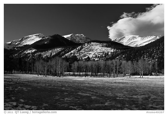 Aspens and mountains, West Horseshoe Park, winter. Rocky Mountain National Park, Colorado, USA.