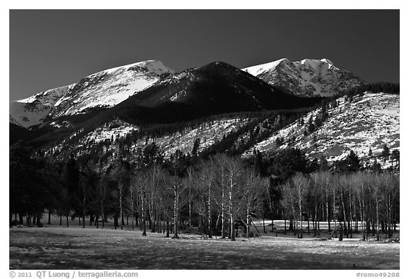 Aspens and Bighorn mountain in winter. Rocky Mountain National Park (black and white)