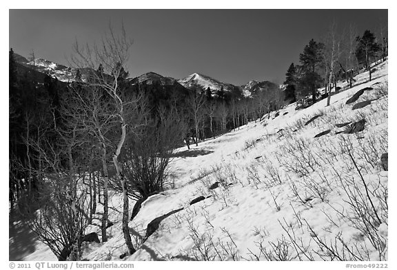 Glacier Basin in winter. Rocky Mountain National Park (black and white)