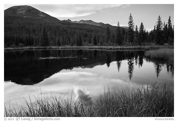 Beaver Pond, Kawuneeche Valley. Rocky Mountain National Park (black and white)