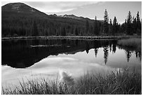 Beaver Pond, Kawuneeche Valley. Rocky Mountain National Park, Colorado, USA. (black and white)